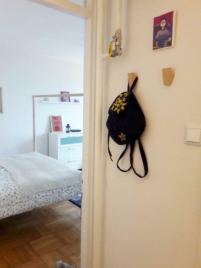 Brand New Cosy Apartment Zagreb Bagian luar foto